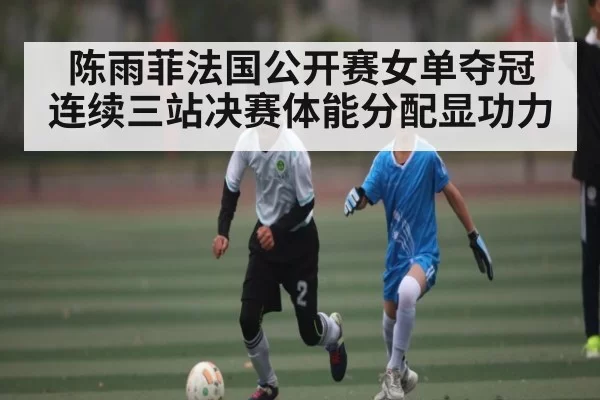 陈雨菲法国公开赛女单夺冠 连续三站决赛体能分配显功力（NG28）